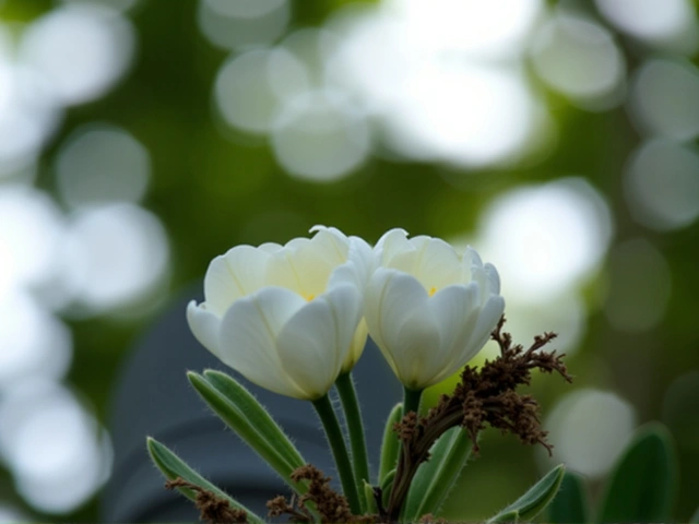 La Flor que Resiste la Nieve y Debes Plantar Ahora Mismo